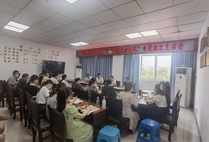 检视问题找差距 落实整改促提升—荣县第三人民医院党支部组织召开“提能力转作风”专题组织生活会